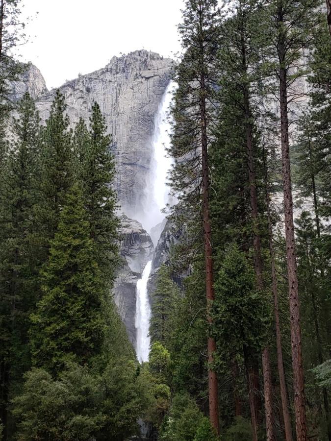 Отель Yosemite Foothill Retreat Корсеголд Экстерьер фото