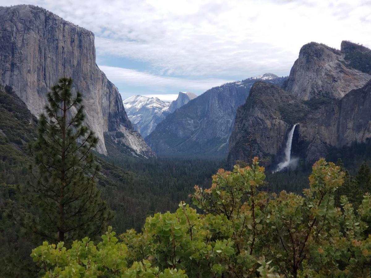 Отель Yosemite Foothill Retreat Корсеголд Экстерьер фото