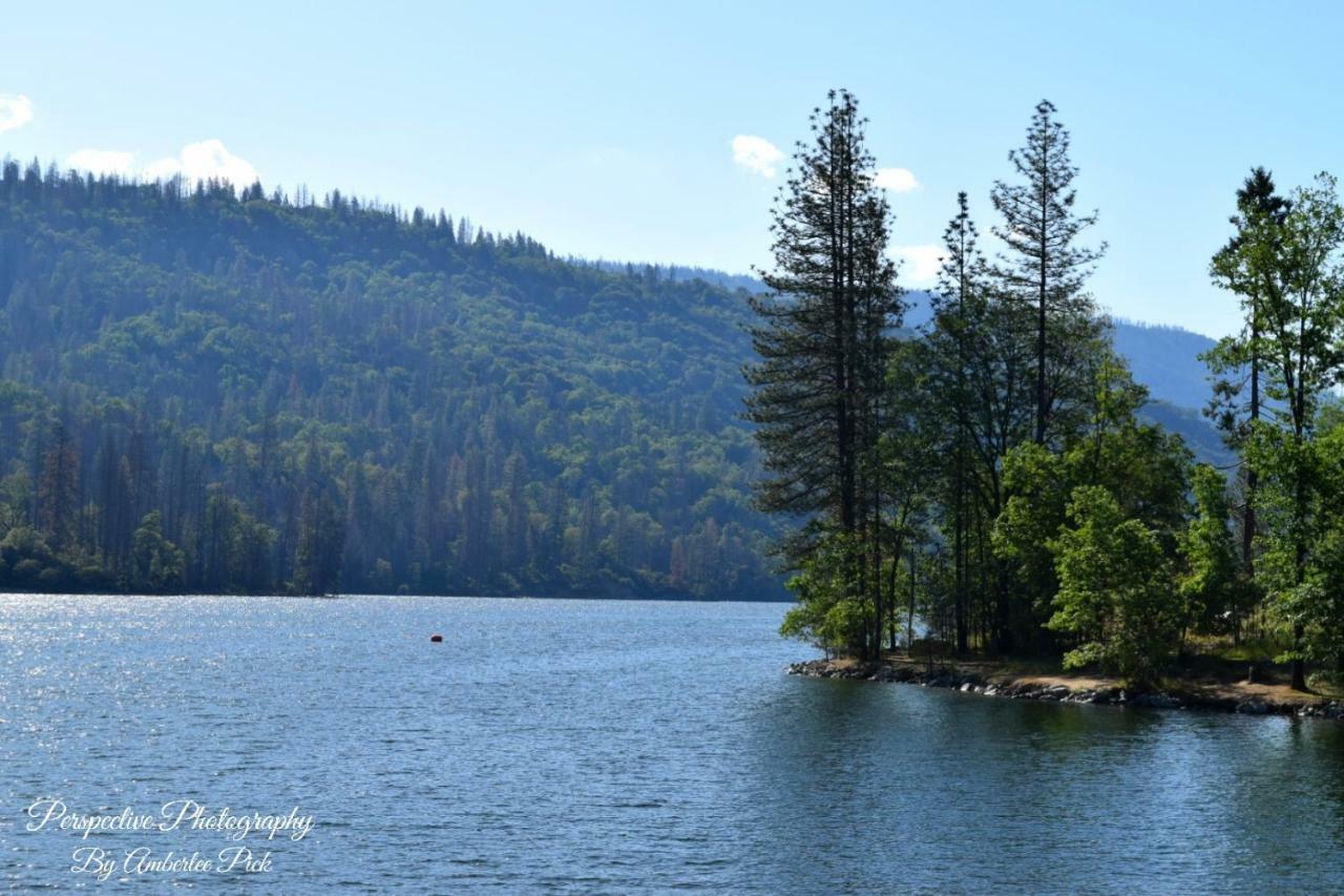 Отель Yosemite Foothill Retreat Корсеголд Экстерьер фото